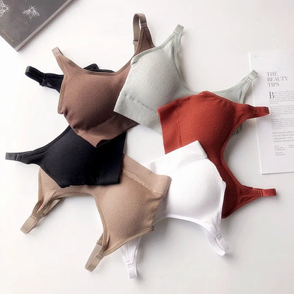 Underwear Women Gather No Steel Ring Lingerie Bra Tube Top Wrapped Chest Beauty Back Actival Cotton Thin Section Tube Top